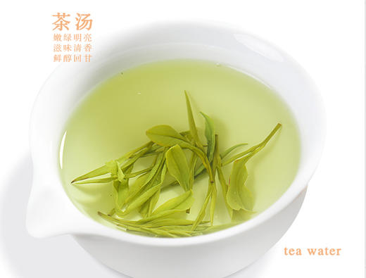 明前绿茶-江山美人明前绿茶50g 商品图2