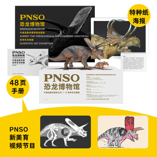 PNSO恐龙博物馆牛角龙奥布里和大贝1:35科学艺术模型 商品图4