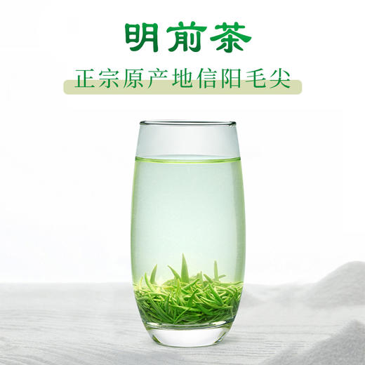 春茶预售2024新茶文新信阳毛尖60g观道 商品图4