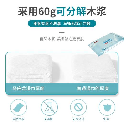 【已下架】远离如厕烦恼 | 马应龙六福 湿厕纸 有痔青年/姨妈期少不了 清爽不黏腻 马桶可冲散120抽[福利品] 商品图2