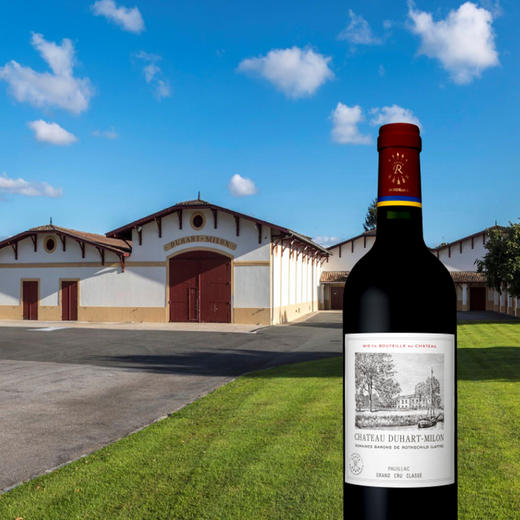 法国杜哈米隆酒庄干红葡萄酒2018/2020 商品图1