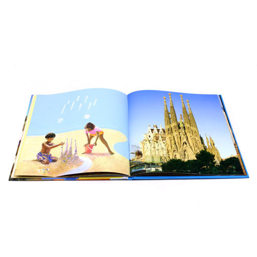 造一个梦想的世界(精) 商品图4