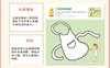 幼儿学画大本-1  儿童图书经典涂鸦绘本填色亲子早教学前 商品缩略图4
