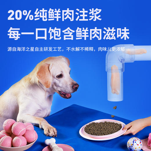 海洋之星 低脂低卡 犬粮 鸭肉配方 10kg/袋 商品图4