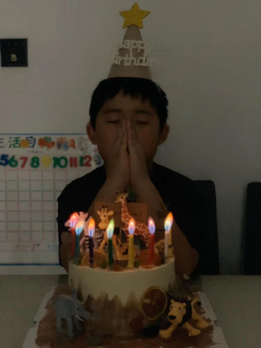 动物乐园主题蛋糕，我的男孩，只过生日，不用长大 商品图3