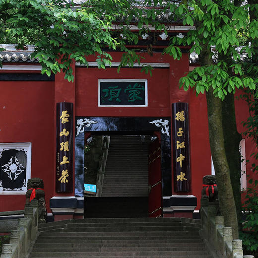 【2026头茬蒙顶甘露】非遗传承人魏老师私茶，国家地标产品，非市面流通货， 五代非遗传承，手工烘焙温性绿茶 商品图10