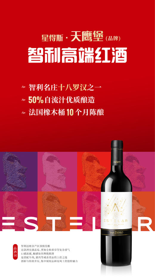 星得斯天鹰堡（品牌） 750ml*6瓶 商品图2