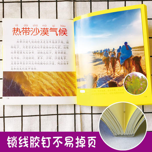 地球大百科绘本十万个为什么注音科普小百科读物全套科学启蒙认知幼儿少儿宝宝儿童3-6-8-9-12岁小学生书籍dk世界百科全书 商品图2