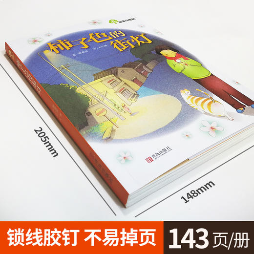 柿子色的街灯三年级课外书读老师推荐四年级五六年级青少年课外书阅读儿童读物儿童文学畅销图书奇想树7-8-9-10-12-15岁故事书籍 商品图1