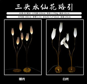 3头水仙花路引（运费自理）