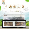 天锦手选猴头蘑100g/盒 商品缩略图2