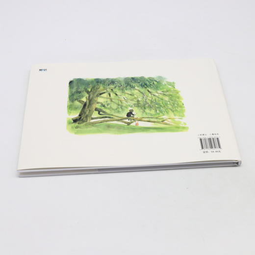 一棵知道很多故事的树(精) 商品图3