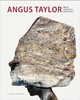 Angus Taylor - Mind Through Materials,安格斯·泰勒——关于材料的漫谈,其他艺术 商品缩略图0