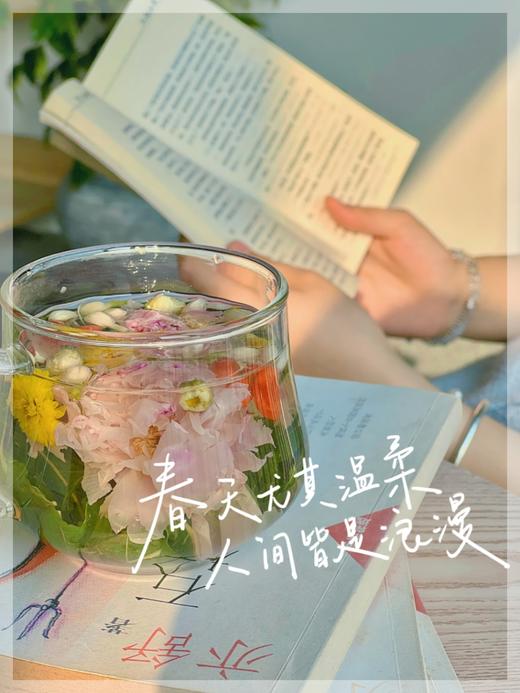 甘悦茶（贡菊茉莉玫瑰饮）--馨香清雅，养肝护肝 商品图2