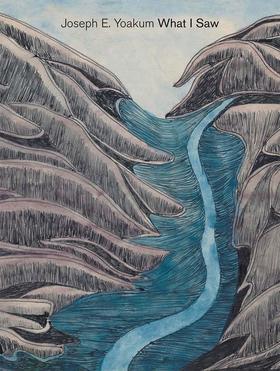 Joseph E. Yoakum，约瑟夫·E·约阿库姆，绘画