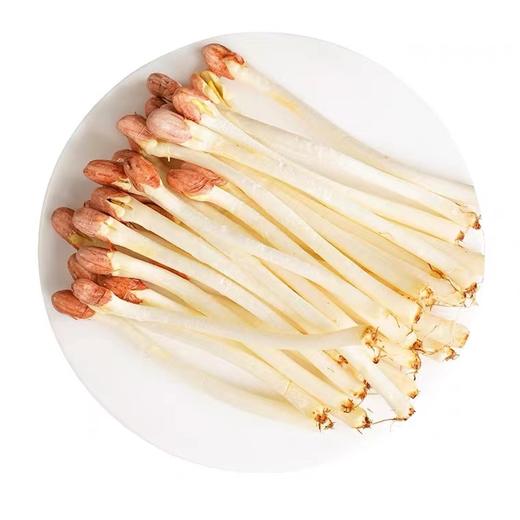 花生芽（约500g） 商品图0
