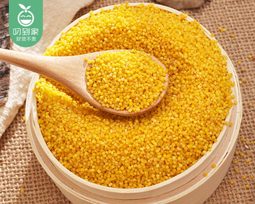弱碱月子小米/1包（1000g）生产日期：25年11月 商品图3