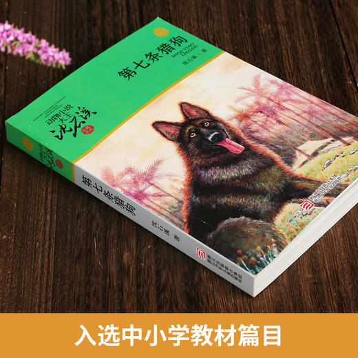 第七条猎狗 正版书免邮沈石溪的书动物小说大王 小学生三四五六年级课外书籍青少年读物8-10-12-15岁儿童文学童话故事书 商品图2