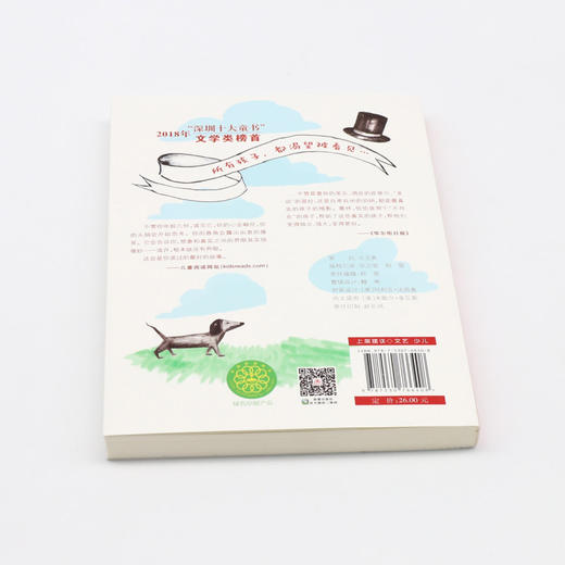 我是你的隐形朋友/国际大奖小说 商品图3