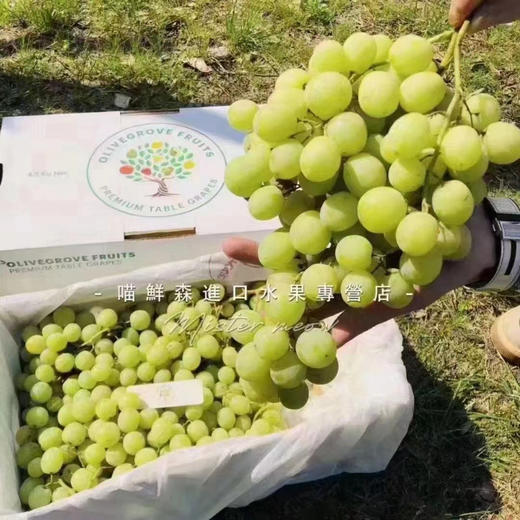 【即时达】澳洲空运✈️甜地球🌐无籽青提 商品图6