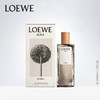1LPY LOEWE/罗意威光之缪斯粉色木兰花女士香水馥郁花香调香水 商品缩略图1