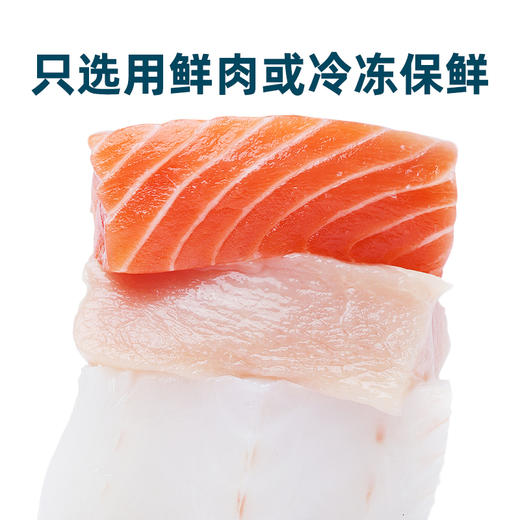 鲜朗猫粮 全阶段 禽肉口味（48小时内发货，着急勿拍） 商品图3