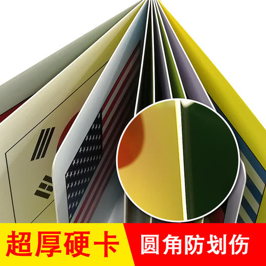 国旗幼儿早教卡看图识物早教书婴儿宝宝书籍0-3岁撕不烂益智彩色识字卡片儿童图书绘本6-2-1周岁启蒙认知认字识图认物翻翻看 商品图3