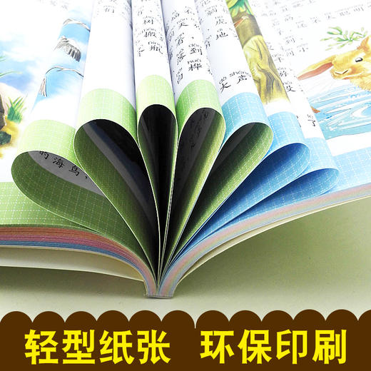全4本套装 小学生新课程正能量森林报正版春夏秋冬故事绘本彩图注音版读物 6-8-9-10-12岁儿童一二三年级小学生课外阅读书故事书籍 商品图3