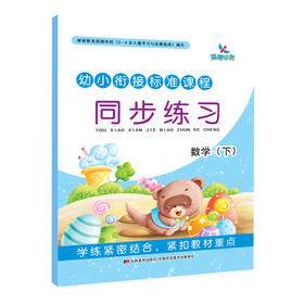 【官方正版】幼小衔接标准课程同步练习数学(下) 学练结合快速提升 正版教材品质保证