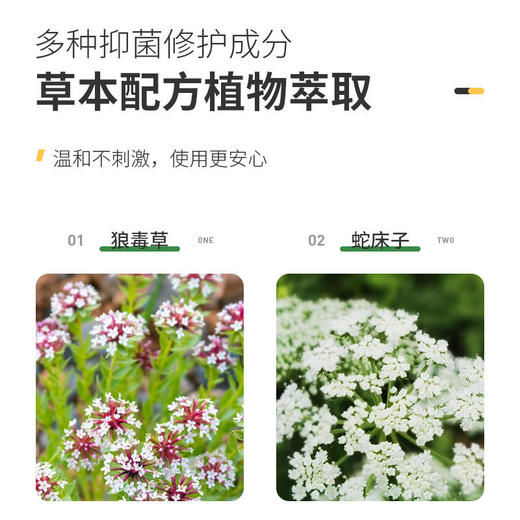 【买5送5】巴西三色蜂胶脚气喷雾止痒除臭清足清爽过春夏40ml/瓶 商品图3