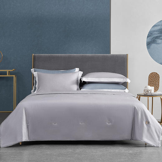 梦洁夏被  天丝艾叶夏被有福气灰咖 200*230 商品图0