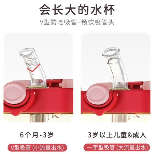 恩尼诺诺方杯   380ml 商品图2