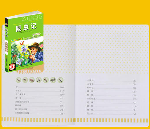 10本 格林童话 安徒生童话 一千零一夜 绿野仙踪 稻草人 小王子 成语故事 昆虫记 课外书1-2-3-4年级小学生新课程正能量课外书阅读 商品图1