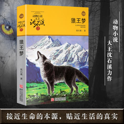 狼王梦正版书免邮沈石溪的书动物小说大王 小学生三四五六年级课外书籍青少年读物8-10-12-15岁儿童文学童话故事书浙江少儿 商品图3