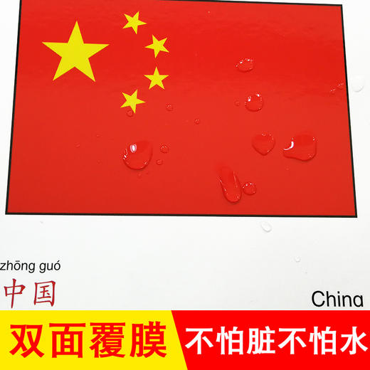 国旗幼儿早教卡看图识物早教书婴儿宝宝书籍0-3岁撕不烂益智彩色识字卡片儿童图书绘本6-2-1周岁启蒙认知认字识图认物翻翻看 商品图4