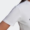 阿迪达斯TREFOIL TEE 短袖T恤GN2899 商品缩略图4