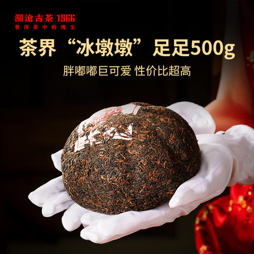 【送礼佳品】澜沧古茶2022年八壹金瓜普洱茶熟茶500g 商品图3