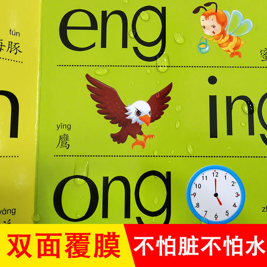 拼音幼儿早教卡看图识物早教书婴儿宝宝书籍0-3岁撕不烂益智彩色识字卡片儿童图书绘本6-2-1周岁启蒙认知认字识图认物翻翻看 商品图4