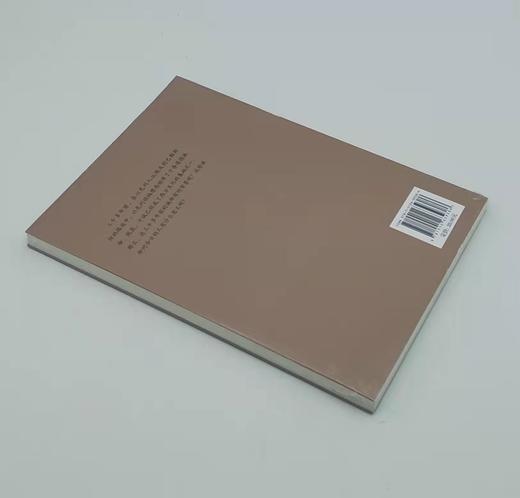 《古以色列道德律——十诫解读》彼得·马斯特斯 商品图2