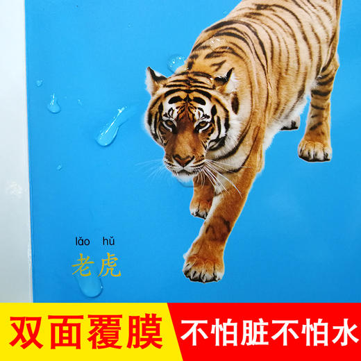 动物王国幼儿早教卡看图识物早教书婴儿宝宝书籍0-3岁撕不烂益智彩色识字卡片儿童图书绘本6-2-1周岁启蒙认知认字识图认物翻翻看 商品图4