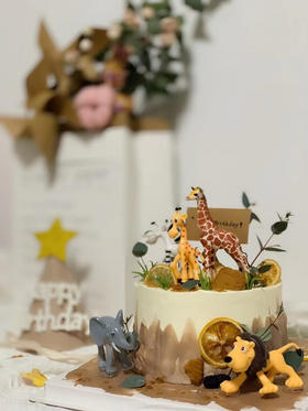 动物乐园主题蛋糕，我的男孩，只过生日，不用长大