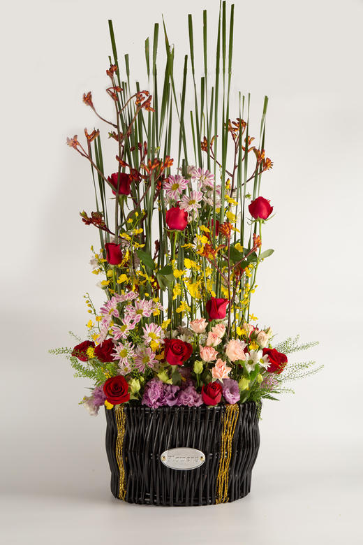 入宅/生日/大寿/开业 商品图1