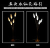 5头水仙花路引（运费自理） 商品缩略图0