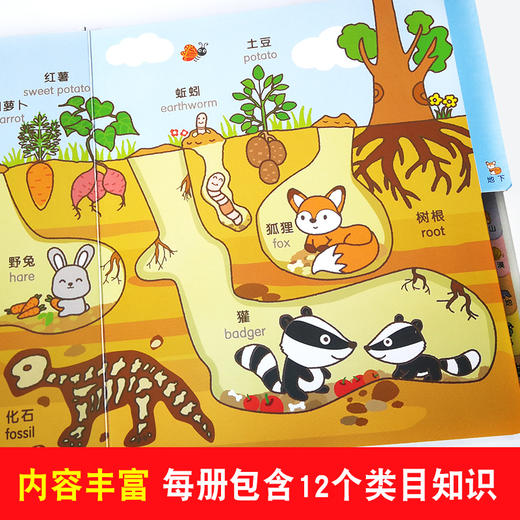 汤米双语认知小百科4 0-4岁中英双语读物情境认知图画书幼儿书籍0-1-2-3-4岁婴幼儿启蒙认知绘本 撕不烂早教书 宝宝认知百科全书 商品图4