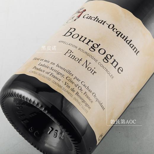 【勃艮第金丘AOC】 菲特瓦凯撒世家干红葡萄酒 AOC等级 13%vol 商品图2