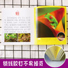 野生动物大百科绘本十万个为什么注音科普小百科读物全套科学启蒙认知幼儿少儿宝宝儿童3-6-8-9-12岁小学生书籍dk世界百科全书 商品缩略图2