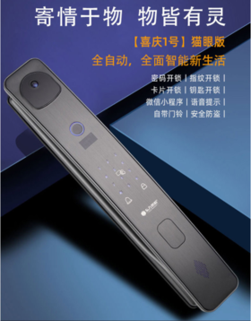 【BH】【HH】东方密码智能锁喜庆1号