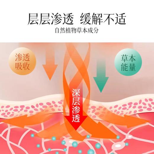 【缓解关节不适】追风透骨膏  腰背不适四肢不适  关节疼痛草本植物  关节肩颈膝盖膏贴20g/盒 商品图4