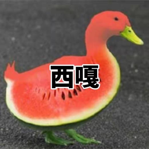 西嘎物流发货 商品图0