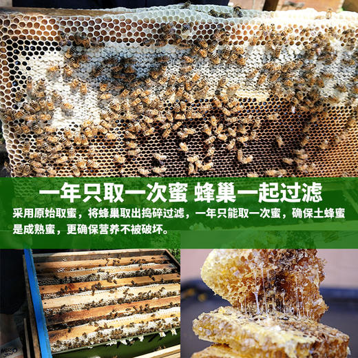 陕西秦岭土蜂蜜500g瓶装深山农家木桶中华蜂结晶蜜 商品图2